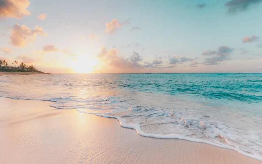 Family enjoying a tropical beach at sunset